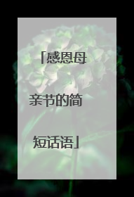 感恩母亲节的简短话语