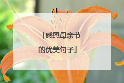 感恩母亲节的优美句子