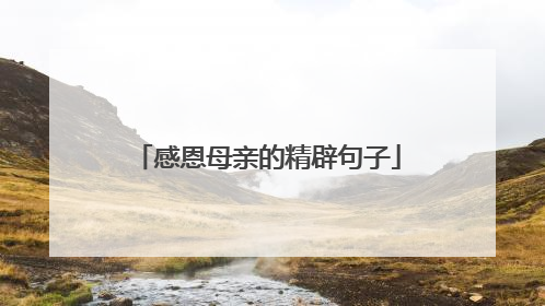 感恩母亲的精辟句子