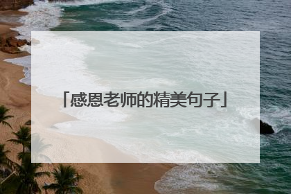 感恩老师的精美句子