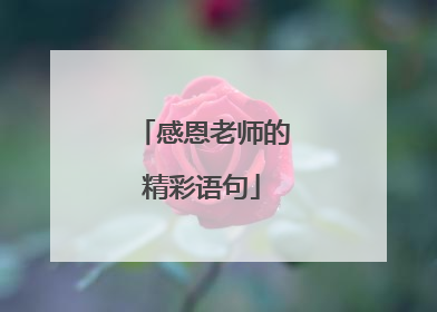 感恩老师的精彩语句