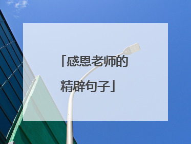 感恩老师的精辟句子