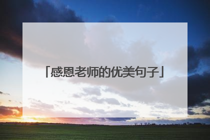 感恩老师的优美句子