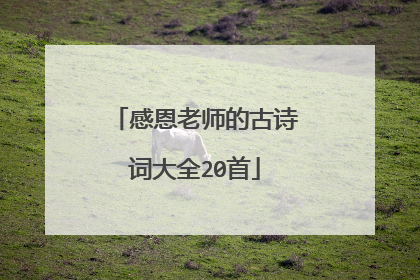 感恩老师的古诗词大全20首