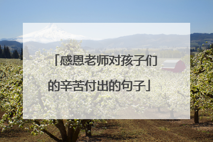 感恩老师对孩子们的辛苦付出的句子