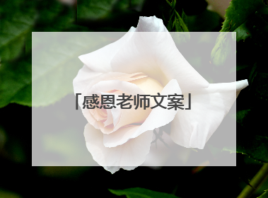 感恩老师文案