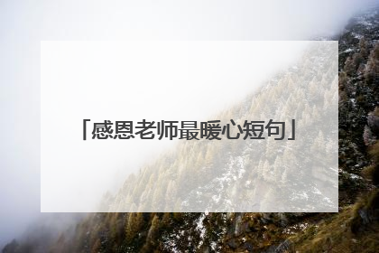 感恩老师最暖心短句