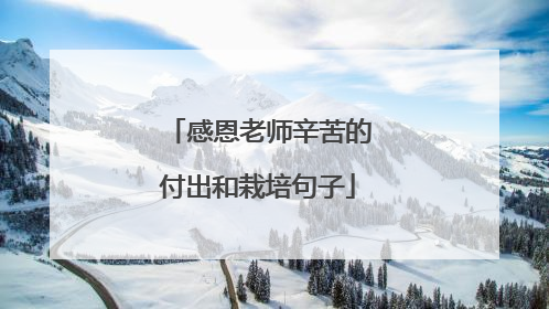 感恩老师辛苦的付出和栽培句子