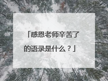 感恩老师辛苦了的语录是什么?