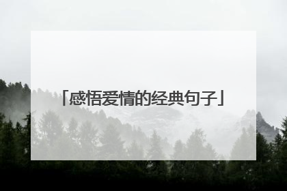 感悟爱情的经典句子