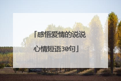 感悟爱情的说说心情短语30句