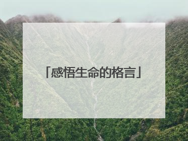 感悟生命的格言