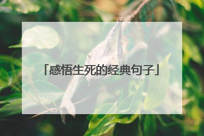 感悟生死的经典句子