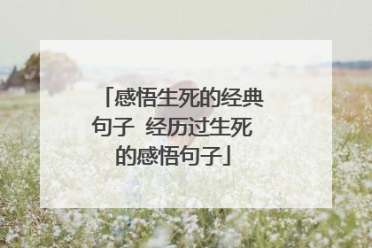 感悟生死的经典句子 经历过生死的感悟句子