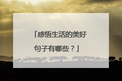 感悟生活的美好句子有哪些?