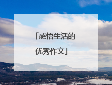 感悟生活的优秀作文
