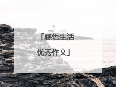 感悟生活优秀作文