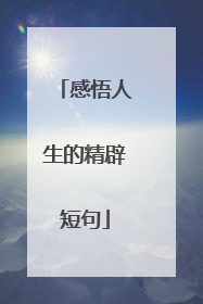 感悟人生的精辟短句