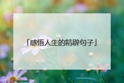 感悟人生的精辟句子