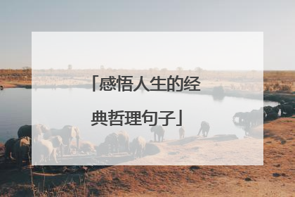 感悟人生的经典哲理句子
