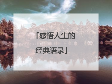 感悟人生的经典语录