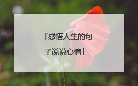 感悟人生的句子说说心情