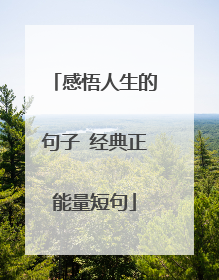 感悟人生的句子 经典正能量短句