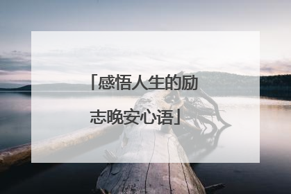 感悟人生的励志晚安心语