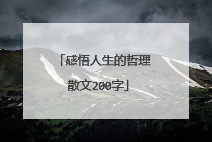 感悟人生的哲理散文200字