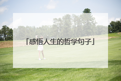 感悟人生的哲学句子