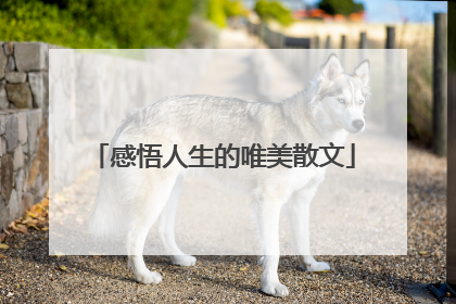 感悟人生的唯美散文
