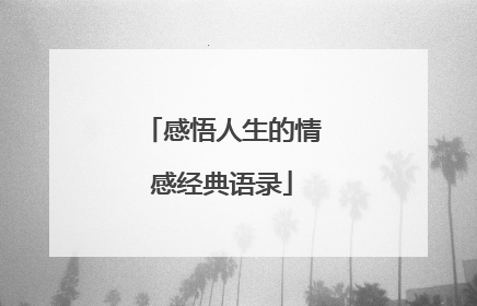 感悟人生的情感经典语录
