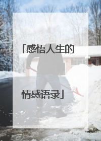 感悟人生的情感语录