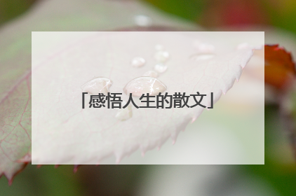 感悟人生的散文