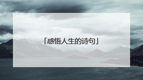 感悟人生的诗句