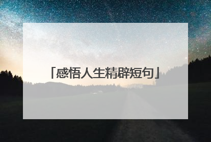感悟人生精辟短句