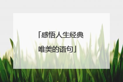 感悟人生经典唯美的语句