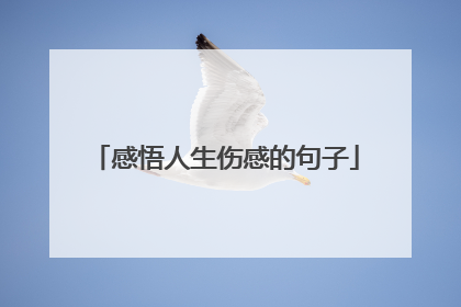 感悟人生伤感的句子