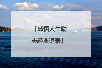 感悟人生励志经典语录