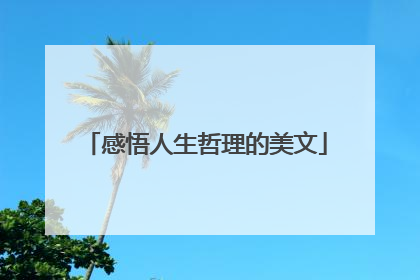 感悟人生哲理的美文