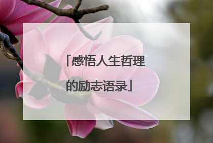 感悟人生哲理的励志语录