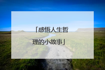 感悟人生哲理的小故事