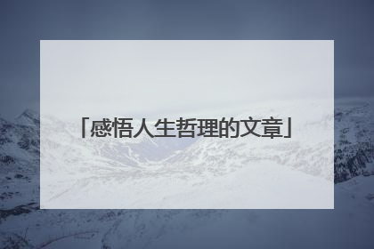 感悟人生哲理的文章