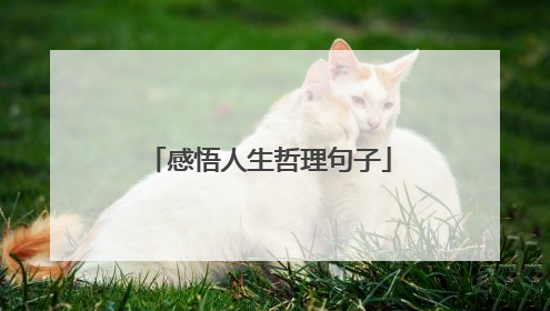 感悟人生哲理句子