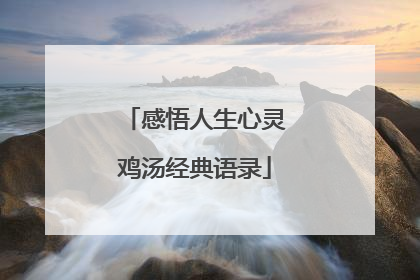 感悟人生心灵鸡汤经典语录