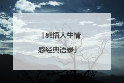 感悟人生情感经典语录