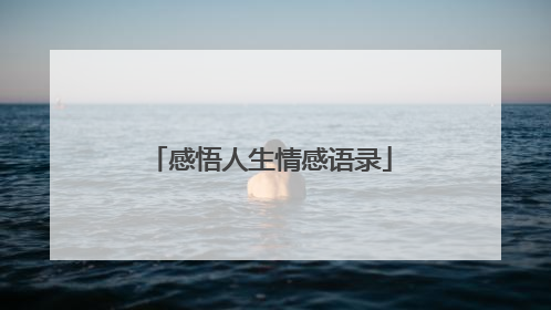 感悟人生情感语录