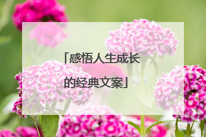 感悟人生成长的经典文案
