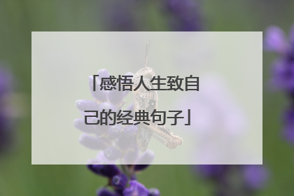 感悟人生致自己的经典句子