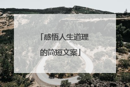 感悟人生道理的简短文案